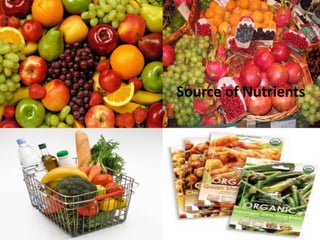 Source of Nutrients

 