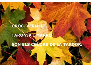 GROC, VERMELL,
TARONJA I MARRÓ
SÓN ELS COLORS DE LA TARDOR.
 