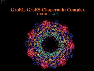 GroEL-GroES Chaperonin Complex PDB ID =  1AON 