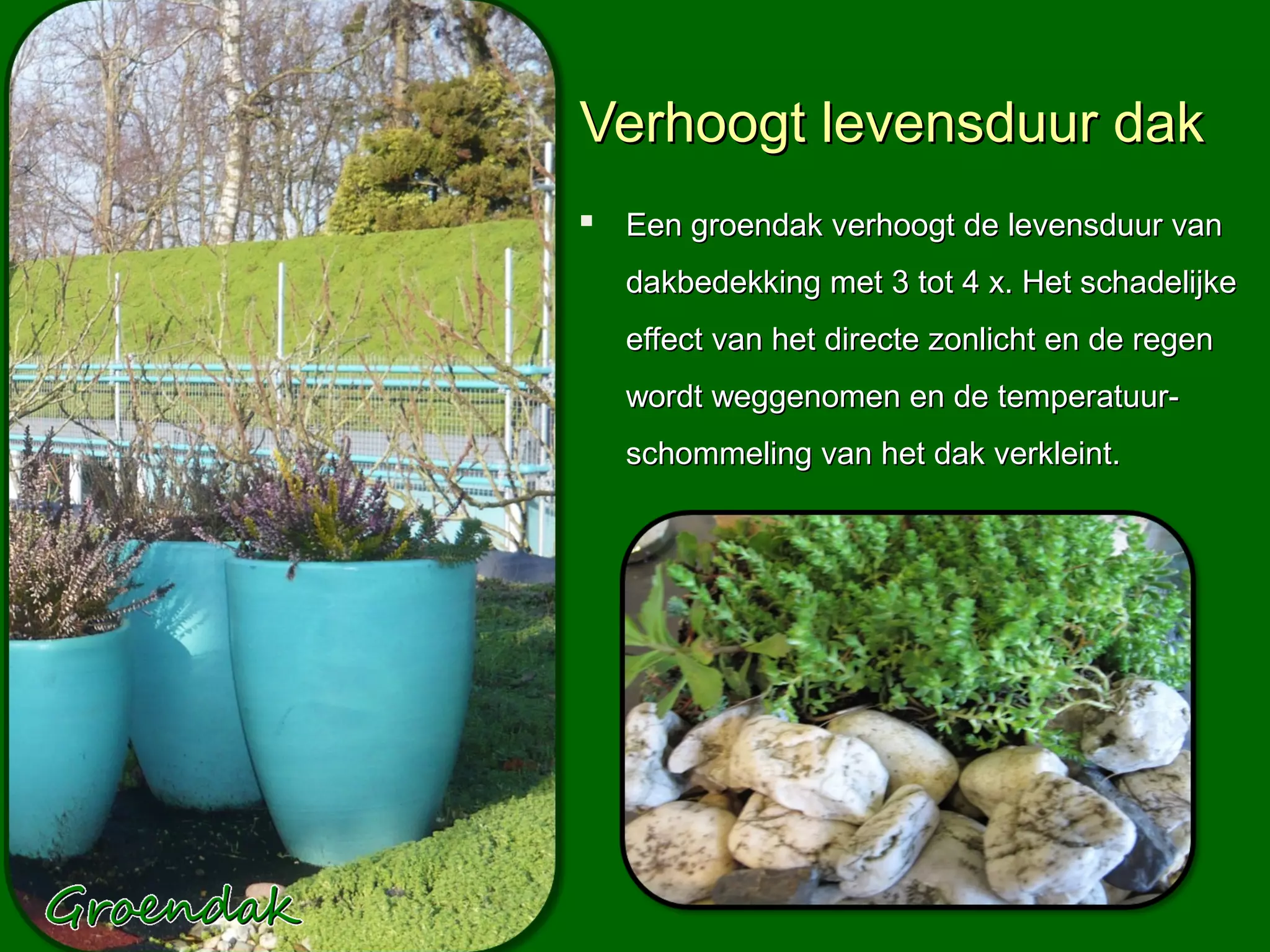 Verhoogt levensduur dak
 Een groendak verhoogt de levensduur van
   dakbedekking met 3 tot 4 x. Het schadelijke
   effect van het directe zonlicht en de regen
   wordt weggenomen en de temperatuur-
   schommeling van het dak verkleint.
 