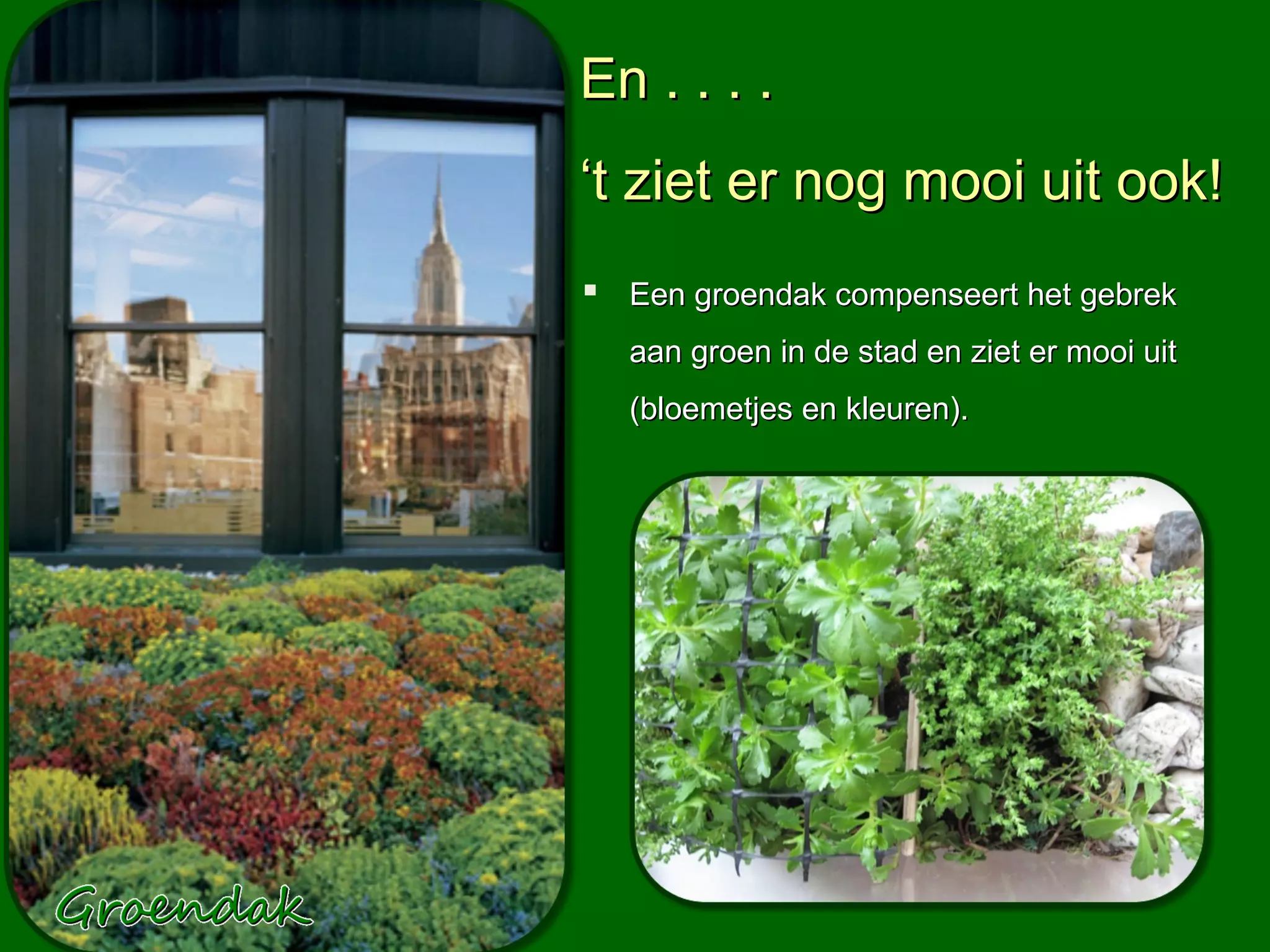 En . . . .
‘t ziet er nog mooi uit ook!
 Een groendak compenseert het gebrek
  aan groen in de stad en ziet er mooi uit
  (bloemetjes en kleuren).
 