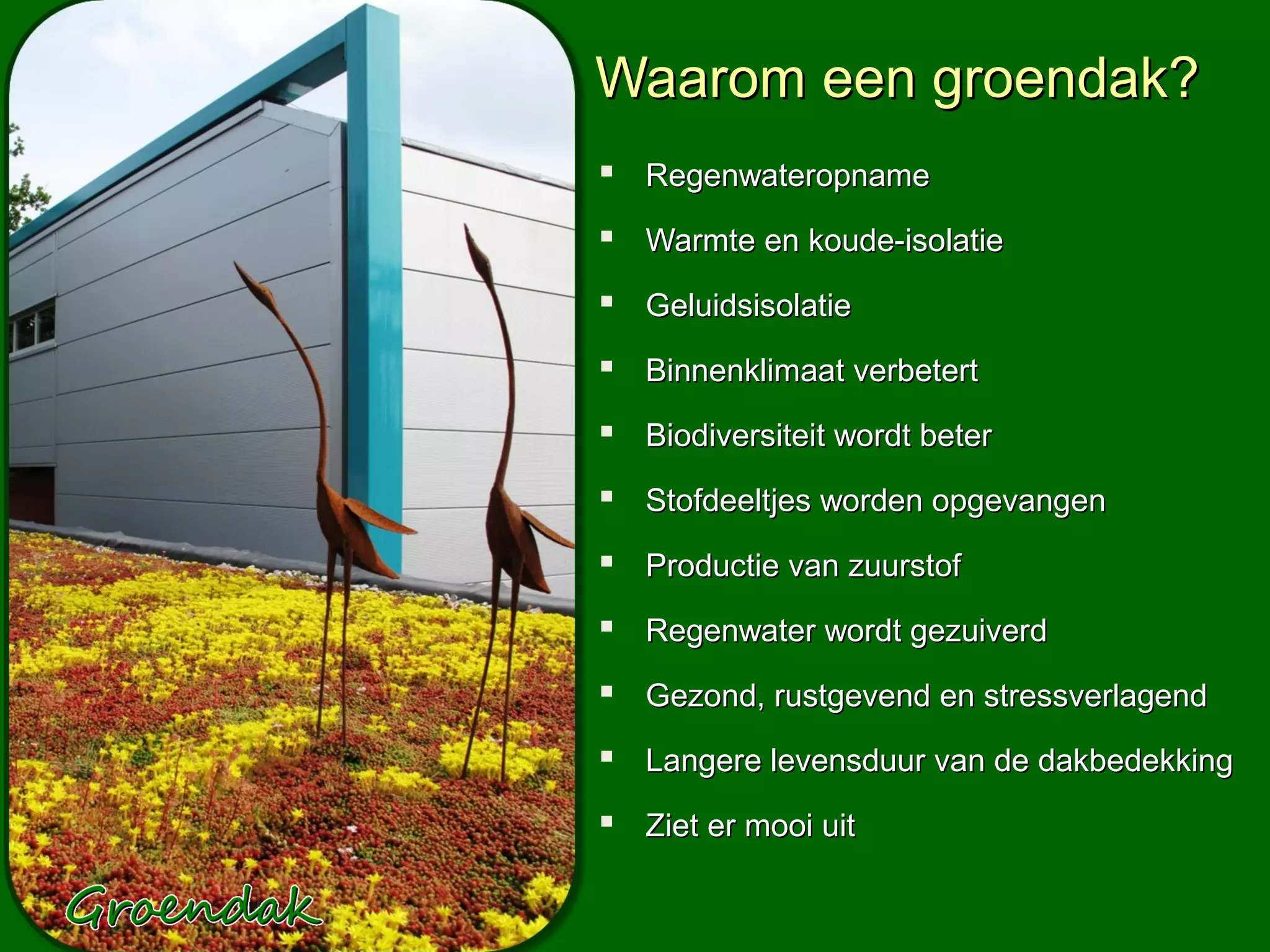 Waarom een groendak?
 Regenwateropname
 Warmte en koude-isolatie
 Geluidsisolatie
 Binnenklimaat verbetert
 Biodiversiteit wordt beter
 Stofdeeltjes worden opgevangen
 Productie van zuurstof
 Regenwater wordt gezuiverd
 Gezond, rustgevend en stressverlagend
 Langere levensduur van de dakbedekking
 Ziet er mooi uit
 