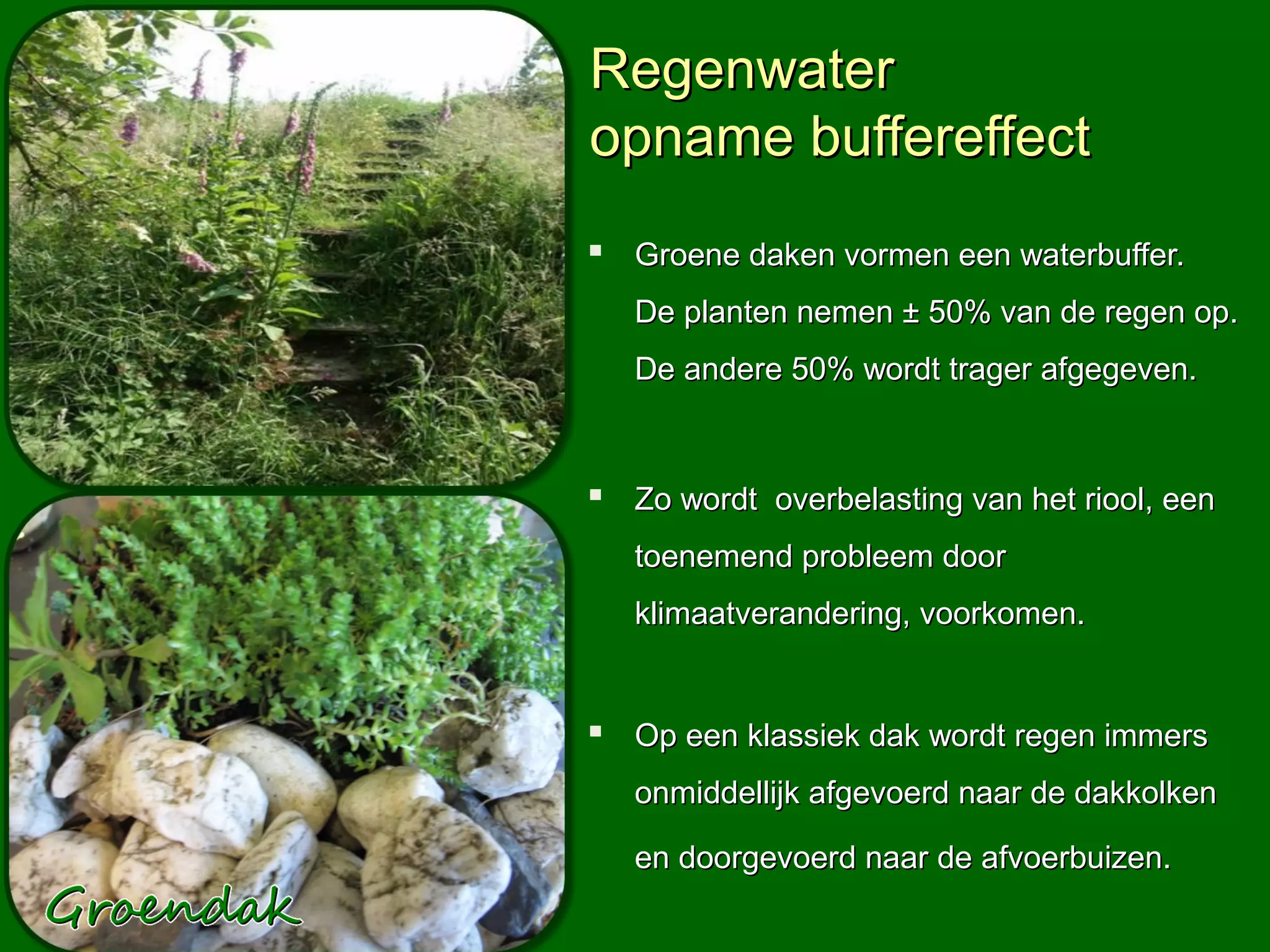 Regenwater
opname buffereffect
 Groene daken vormen een waterbuffer.
   De planten nemen ± 50% van de regen op.
   De andere 50% wordt trager afgegeven.



 Zo wordt overbelasting van het riool, een
   toenemend probleem door
   klimaatverandering, voorkomen.


 Op een klassiek dak wordt regen immers
   onmiddellijk afgevoerd naar de dakkolken

   en doorgevoerd naar de afvoerbuizen.
 