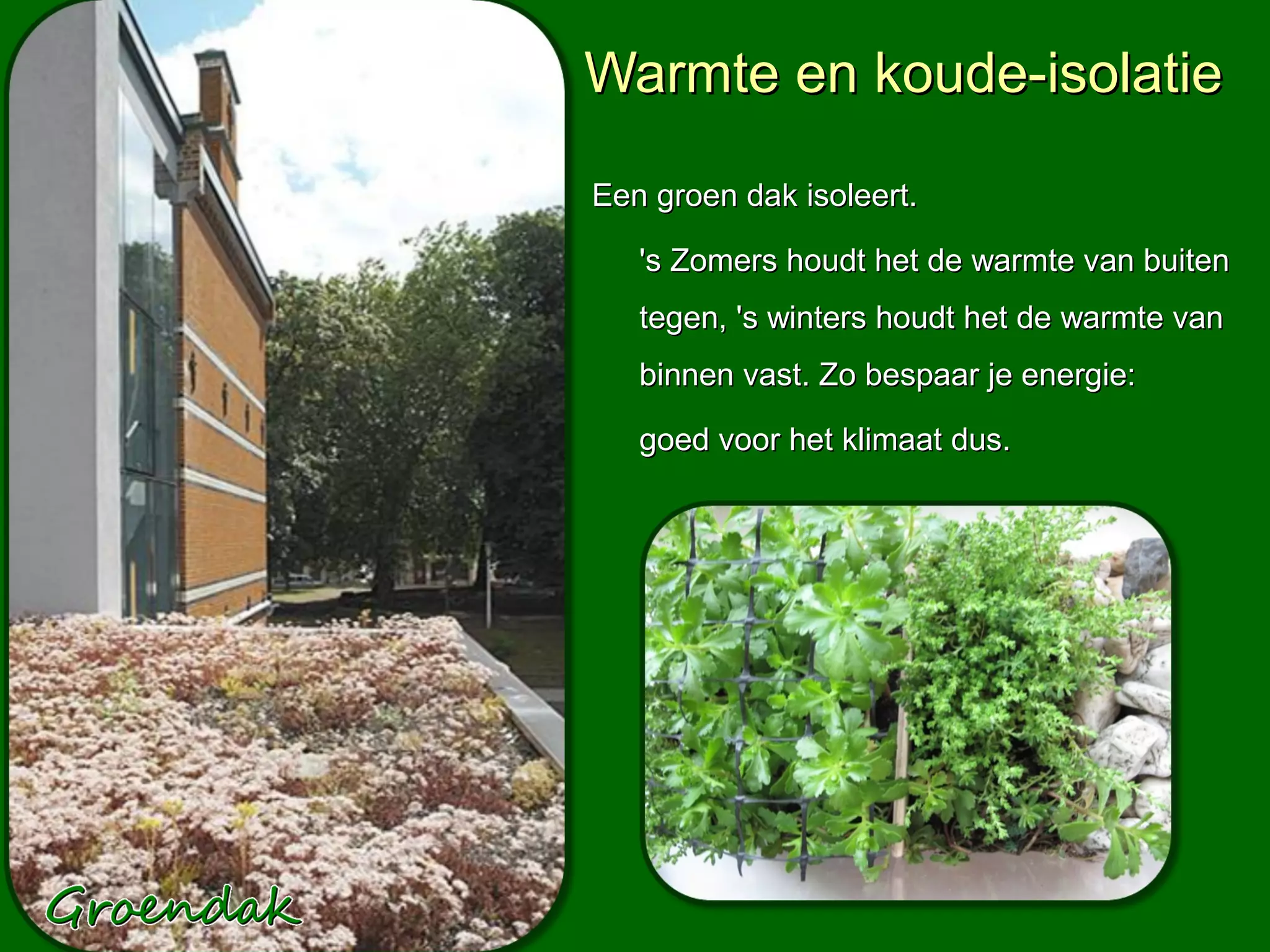 Warmte en koude-isolatie

Een groen dak isoleert.

   's Zomers houdt het de warmte van buiten
   tegen, 's winters houdt het de warmte van
   binnen vast. Zo bespaar je energie:

   goed voor het klimaat dus.
 