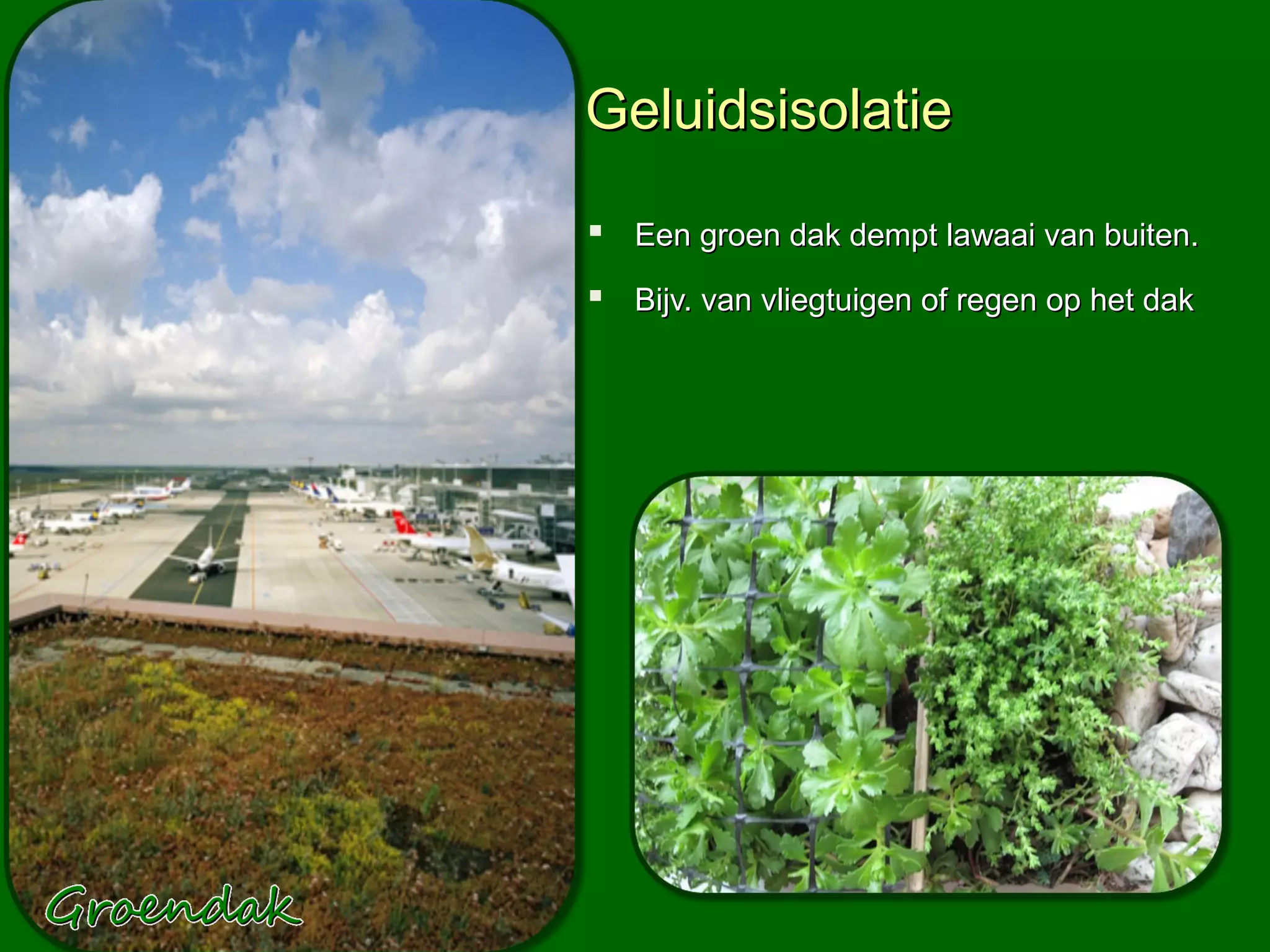 Geluidsisolatie

 Een groen dak dempt lawaai van buiten.
 Bijv. van vliegtuigen of regen op het dak
 