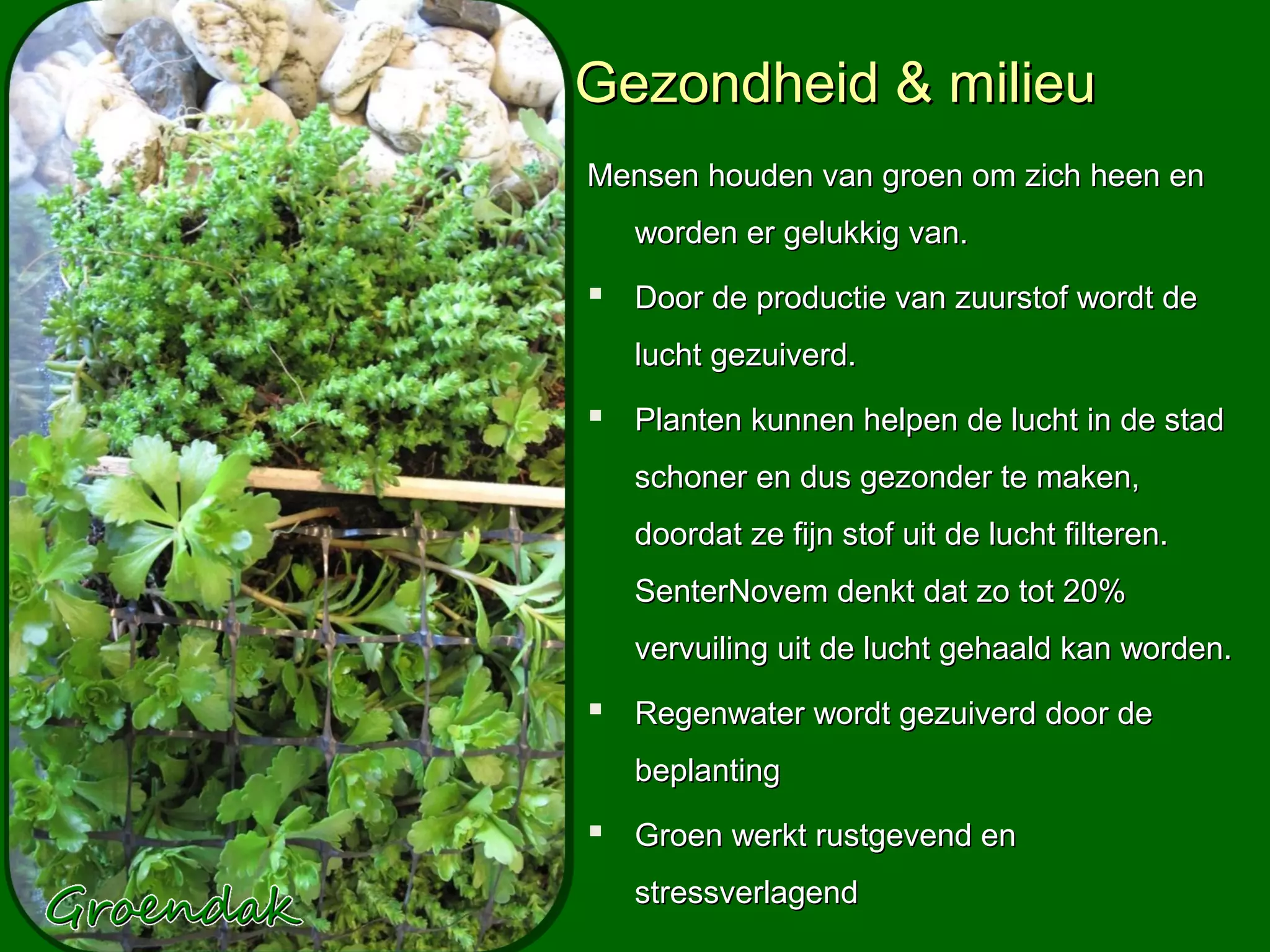 Gezondheid & milieu
Mensen houden van groen om zich heen en
   worden er gelukkig van.
 Door de productie van zuurstof wordt de
   lucht gezuiverd.
 Planten kunnen helpen de lucht in de stad
   schoner en dus gezonder te maken,
   doordat ze fijn stof uit de lucht filteren.
   SenterNovem denkt dat zo tot 20%
   vervuiling uit de lucht gehaald kan worden.
 Regenwater wordt gezuiverd door de
   beplanting
 Groen werkt rustgevend en
   stressverlagend
 