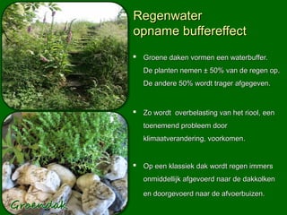 Groene Riool Groendak info | PPT