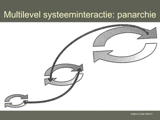 Multilevel systeeminteractie: panarchie 
Walker & Salt 2006:91 
 