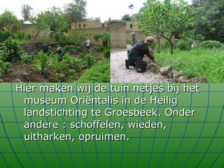 Hier maken wij de tuin netjes bij het museum Oriëntalis in de Heilig landstichting te Groesbeek. Onder andere : schoffelen, wieden, uitharken, opruimen. 
