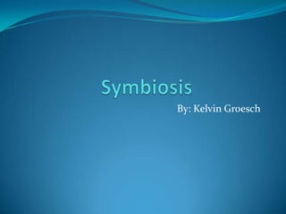 Symbiosis By: Kelvin Groesch 