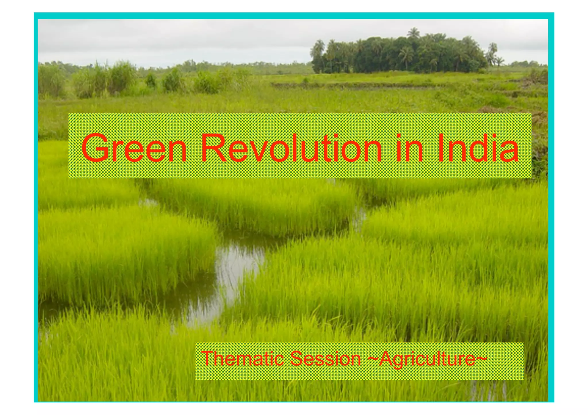 Green Revolution in India




      Thematic Session ~Agriculture~
 