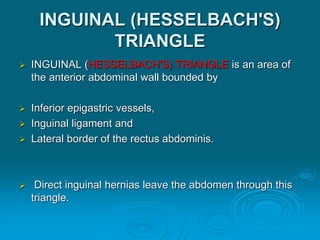 Groin anatomy inguinal hernia clinical anatomy | PPT