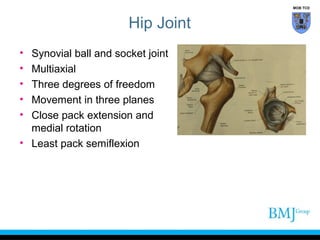 Anatomy of Groin | PPT