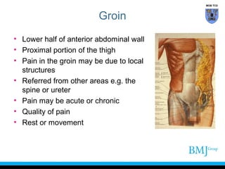 Anatomy of Groin