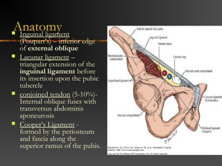 Direct Inguinal Hernia
 Medial to the inferior
epigastric artery and vein,
and within Hesselbach's
triangle
 acquired weakness in the
inguinal floor
 