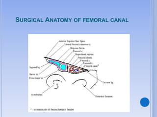 SURGICAL ANATOMY OF FEMORAL CANAL
 