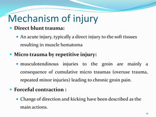 groin injuries.pdf