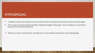 HYPOSPADIAS
 Urethral meatus that opens on the ventral surface of the penis proximal to the end of the glans.
 The meatus may be located anywhere along the length of the penis from the glans to a proximal
location as low as the perineum
 Ventral curvature of the penis, chordee, has an inconsistent association with hypospadias
 