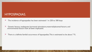 HYPOSPADIAS.
 The incidence of hypospadias has been estimated 1 in 250 to 300 boys
 Genetic factors, inadequate hormonal stimulation,maternal/placental factors, and
environmental factors have all been implicated.
 There is a definite familial occurrence of hypospadias.This is estimated to be about 7 %.
 