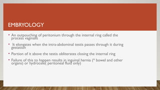 EMBRYOLOGY
• An outpouching of peritonium through the internal ring called the
process vaginalis
• It elongates when the intra-abdominal testis passes through it during
gestation
• Portion of it above the testis obliterates closing the internal ring
• Failure of this to happen results in inguinal hernia (* bowel and other
organs) or hydrocele( peritoneal fluid only)
 