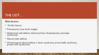 THE UDT…
Risk factors
• Family history
• Prematurity /Low birth weight
• Abdominal wall defects (Gastroschisis, Omphalocele, extrophy
syndromes
• Neural tube defects
• Chromosomal abnormalities ( down syndrome, prune belly syndrome,
prader-willi syndrome)
 