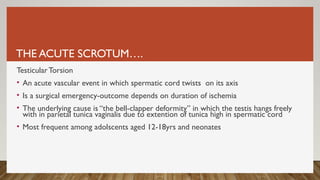 THE ACUTE SCROTUM….
Testicular Torsion
• An acute vascular event in which spermatic cord twists on its axis
• Is a surgical emergency-outcome depends on duration of ischemia
• The underlying cause is “the bell-clapper deformity” in which the testis hangs freely
with in parietal tunica vaginalis due to extention of tunica high in spermatic cord
• Most frequent among adolscents aged 12-18yrs and neonates
 
