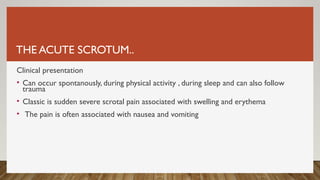 THE ACUTE SCROTUM..
Clinical presentation
• Can occur spontanously, during physical activity , during sleep and can also follow
trauma
• Classic is sudden severe scrotal pain associated with swelling and erythema
• The pain is often associated with nausea and vomiting
 