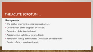 THE ACUTE SCROTUM…
Management
• The goal of emergent surgical exploration are
• Confirmation of the diagnosis of torsion.
• Detorsion of the involved testis
• Assessment of vaibility of involved testis
• Removal of frankly ischmic testis Or fixation of viable testis
• Fixation of the contralateral testis
 