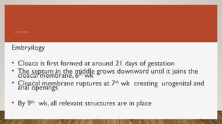 ANORECTAL MALFORMATIONS…
Embryilogy
• Cloaca is first formed at around 21 days of gestation
• The septum in the middle grows downward until it joins the
cloacal membrane, 6th
wk
• Cloacal membrane ruptures at 7th
wk creating urogenital and
anal openings
• By 9th
wk, all relevant structures are in place
 