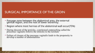 SURGICAL IMPORTANCE OF THE GROIN
• Passage zone between the abdominal area, the external
genital region, and the root of lower extremity.
• Region where most hernias of the abdominal wall occur(75%)
• During descent of the testicles, a peritoneal outpouching called the
processus vaginalis follows the testicles to the scrotum
• Failure of closure of the pocessus vaginalis leads to the propensity to
develop a number of abnormalities
 