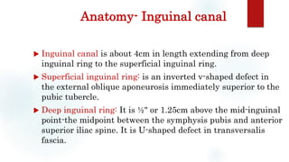 Anatomy- Inguinal canal
 Inguinal canal is about 4cm in length extending from deep
inguinal ring to the superficial inguinal ring.
 Superficial inguinal ring: is an inverted v-shaped defect in
the external oblique aponeurosis immediately superior to the
pubic tubercle.
 Deep inguinal ring: It is ½" or 1.25cm above the mid-inguinal
point-the midpoint between the symphysis pubis and anterior
superior iliac spine. It is U-shaped defect in transversalis
fascia.
 