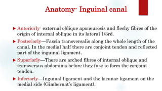 Anatomy- Inguinal canal
 Anteriorly- external oblique aponeurosis and fleshy fibres of the
origin of internal oblique in its lateral 1/3rd.
 Posteriorly—Fascia transversalis along the whole length of the
canal. In the medial half there are conjoint tendon and reflected
part of the inguinal ligament.
 Superiorly—There are arched fibres of internal oblique and
transversus abdominis before they fuse to form the conjoint
tendon.
 Inferiorly—Inguinal ligament and the lacunar ligament on the
medial side (Gimbernat’s ligament).
 