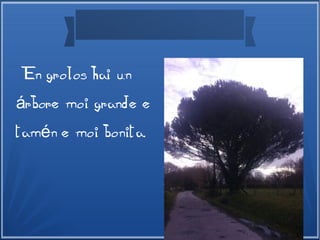 En grolos hai un
rbore moi grande eá
tam n e moi bonita.é
 