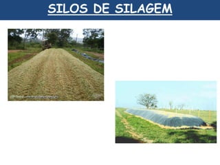 SILOS DE SILAGEM 
 