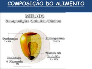 COMPOSIÇÃO DO ALIMENTO 
 