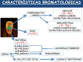 CARACTERÍSTICAS BROMATOLÓGICAS 
CARBOIDRATOS 
( AMIDO ) 
AMILOSE 
( 25 - 30% ) 
CADEIA LINEAR 
ESTRUTURA HELICOIDAL 
AMILOPECTINA 
( 70 - 75% ) 
CADEIA RAMIFICADA 
ÓLEO ESTRUTURA DUPLAS HÉLICES 
( 2 a 5% ) 
PROTEÍNA 
( 6 a 12% ) 
GLOBULINAS 
GLUTELINAS 
ALBUMINAS 
PROLAMINAS 
ALEURONA E EMBRIÃO 
ZEÍNA ENDOSPERMA 
60 a 70 % DO TOTAL - LISINA E TRIPTOFANO 
 