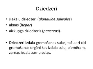 Dziedzeri
• siekalu dziedzeri (glandulae salivales)
• aknas (hepar)
• aizkuņģa dziedzeris (pancreas).

• Dziedzeri izdala gremošanas sulas, taču arī citi
  gremošanas orgāni kas izdala sulu, piemēram,
  zarnas izdala zarnu sulas.
 