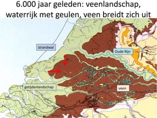 11
getijdenlandschap veen
strandwal
6.000 jaar geleden: veenlandschap,
waterrijk met geulen, veen breidt zich uit
Oude Rijn
 