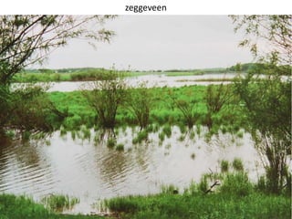 15
zeggeveen
 
