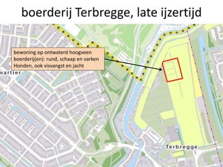 19
boerderij Terbregge, late ijzertijd
bewoning op ontwaterd hoogveen
boerderij(en): rund, schaap en varken
Honden, ook visvangst en jacht
 