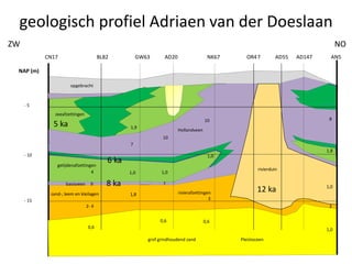 geologisch profiel Adriaen van der Doeslaan
1,9
8
1,0
10
1,0 6
10
7
zand-, leem en kleilagen
grof grindhoudend zand Pleistoceen
Hollandveen
rivierduin
getijdenafzettingen
zeeafzettingen
CN17 BL82 GW63 AD20 NK67 OR47 AD55 AD147 AN5
1,0
1,0
1,8
3
8
rivierduin
rivierafzettingen
opgebracht
0,6
3
10
0,6
10
7basisveen
4
1,0
1,8
7
2- 4
9
0,6
- 5
- 10
- 15
NAP (m)
ZW NO
12 ka
8 ka
6 ka
5 ka
 