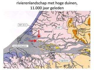 rivierenlandschap met hoge duinen,
11.000 jaar geleden
meanderende geulen
NAP
5
dekzand
NAP -16 m
hoge duinen
 