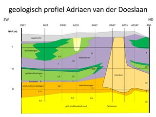 geologisch profiel Adriaen van der Doeslaan
1,9
8
1,0
10
1,0 6
10
7
zand-, leem en kleilagen
grof grindhoudend zand Pleistoceen
Hollandveen
rivierduin
getijdenafzettingen
zeeafzettingen
CN17 BL82 GW63 AD20 NK67 OR47 AD55 AD147 AN5
1,0
1,0
1,8
3
8
rivierduin
rivierafzettingen
opgebracht
0,6
3
10
0,6
10
7basisveen
4
1,0
1,8
7
2- 4
9
0,6
- 5
- 10
- 15
NAP (m)
ZW NO
 