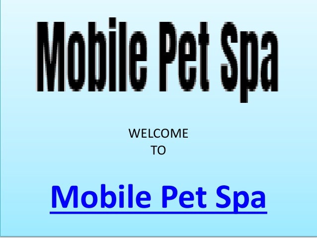 dog spa near me