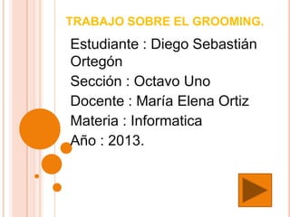 TRABAJO SOBRE EL GROOMING.

Estudiante : Diego Sebastián
Ortegón
Sección : Octavo Uno
Docente : María Elena Ortiz
Materia : Informatica
Año : 2013.

 