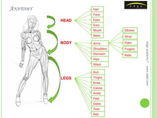 ANATOMY          Hair
                 Face
          HEAD   Eyes
                 Ears
                 Mouth       Elbows
                 Neck        Wrist

          BODY




                                       edge academy™
                 Arms        Palm
                 Shoulders   Fingers
                 Stomach     Nails
                 Hips
                 Waist




                                       www.ealpl.com
                 Butt
          LEGS   Thighs
                 Knee
                 Calves
                 Ankle
                 Feet
                 Soles
                 Toes
                 Nail
 