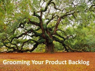 Grooming Your Product Backlog 