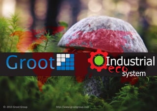 ecoIndustrial
system
©: 2013 Groot Group http://www.grootgroup.com
 