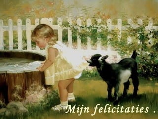 Mijn felicitaties …
 