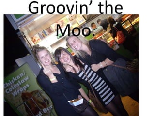 Groovin’ the Moo. 